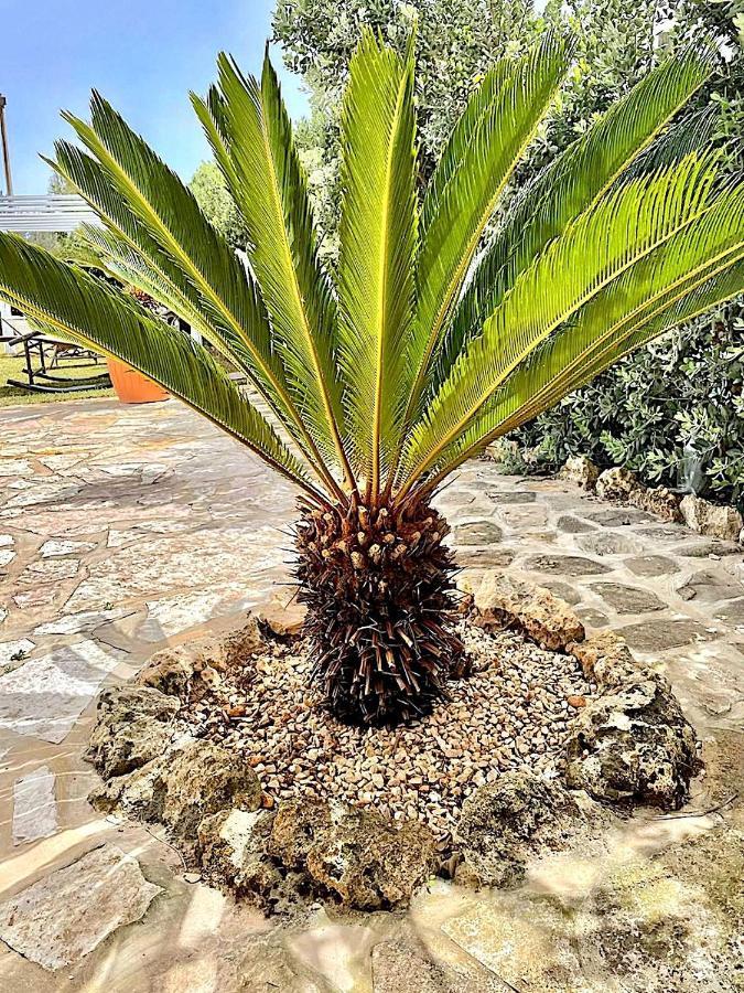Lorelai Beach Marsala Eksteriør bilde